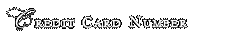 Credit Card Number